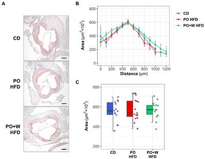 Walnut inclusion in a palm oil-based atherogenic diet promotes traits predicting stable atheroma plaque in Apoe-deficient mice